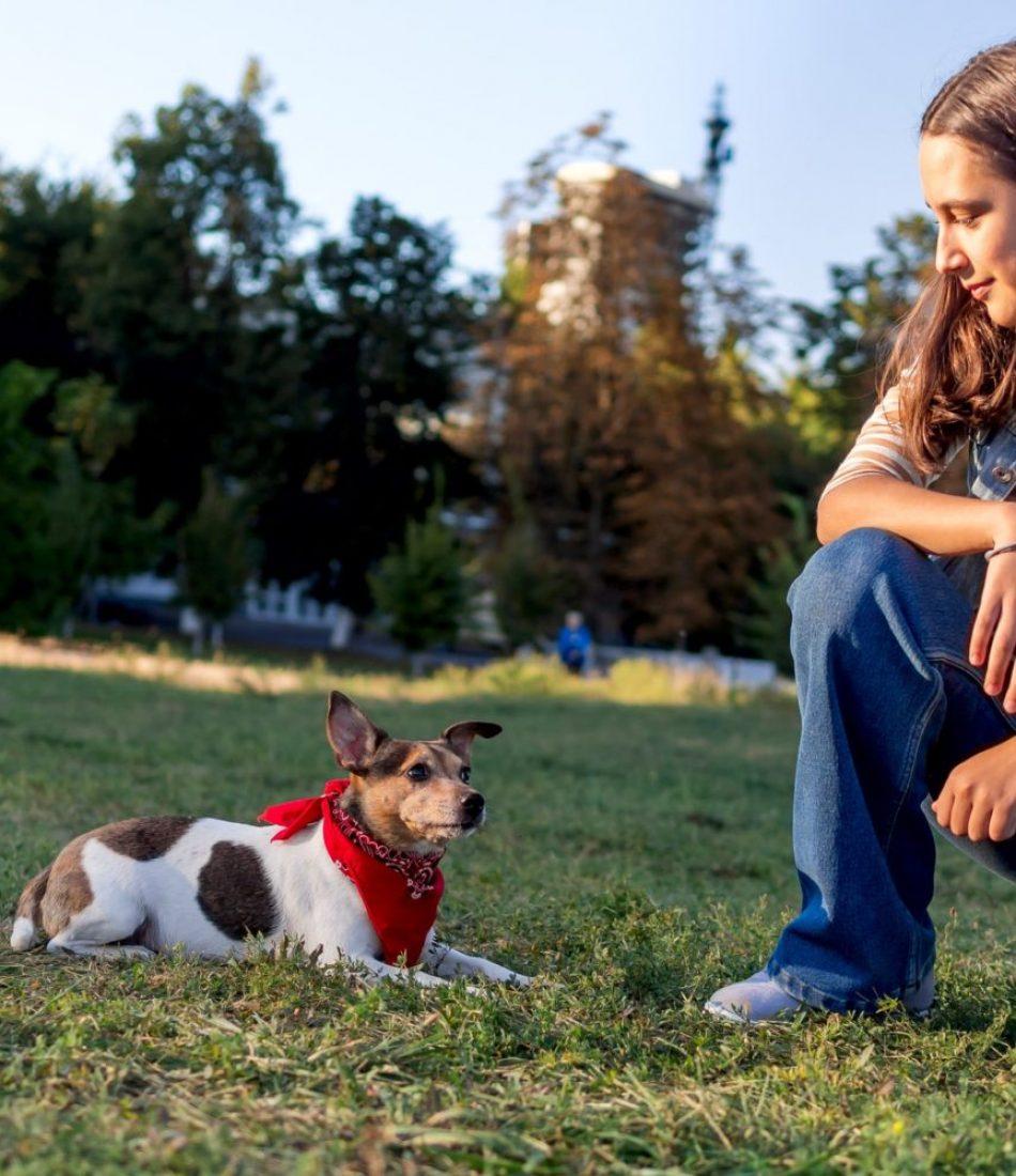 teenage girl trains a cute pet dog