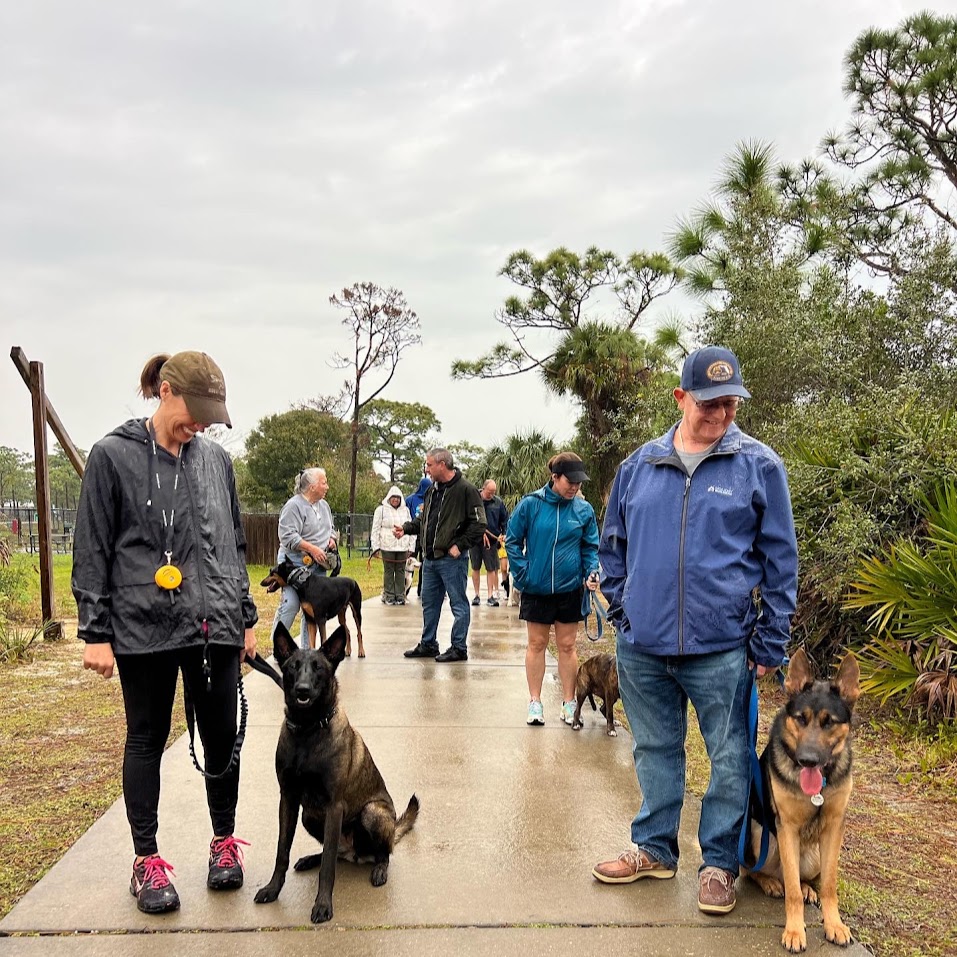 Group of people with dogs on a training walk outdoors, showcasing dog training and obedience at Wickham Park Melbourne.