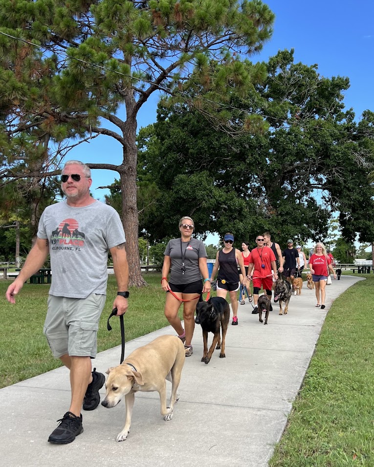 Dog trainers, owners, and various dogs walking on a path in a park during a Pack Walk.