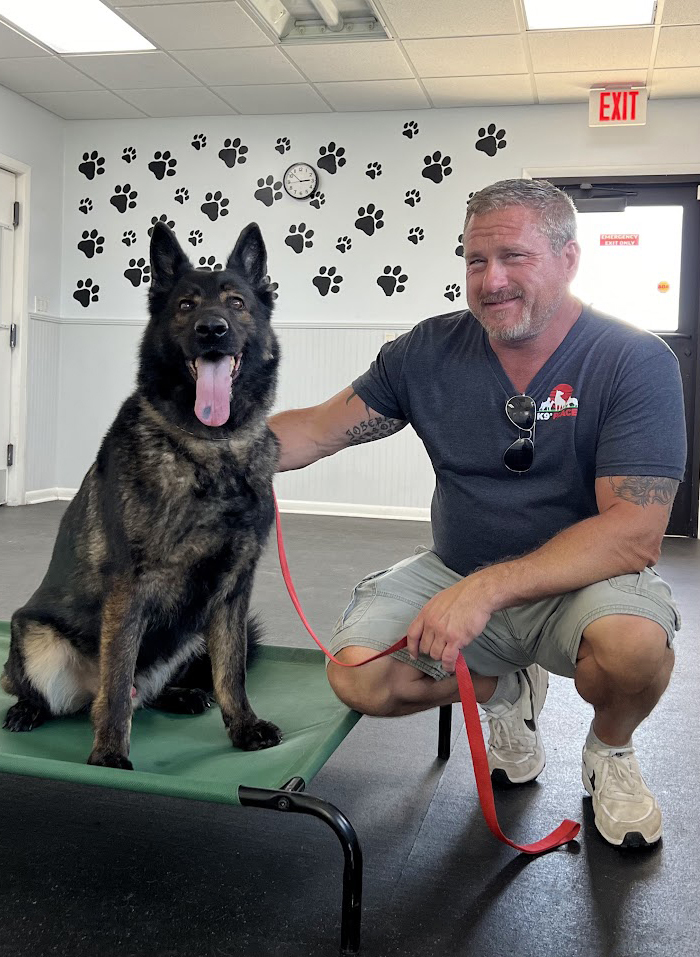 Dog trainer with dog at training facility, The dog is sitting on a place bed with the dog trainer squatting besides him.