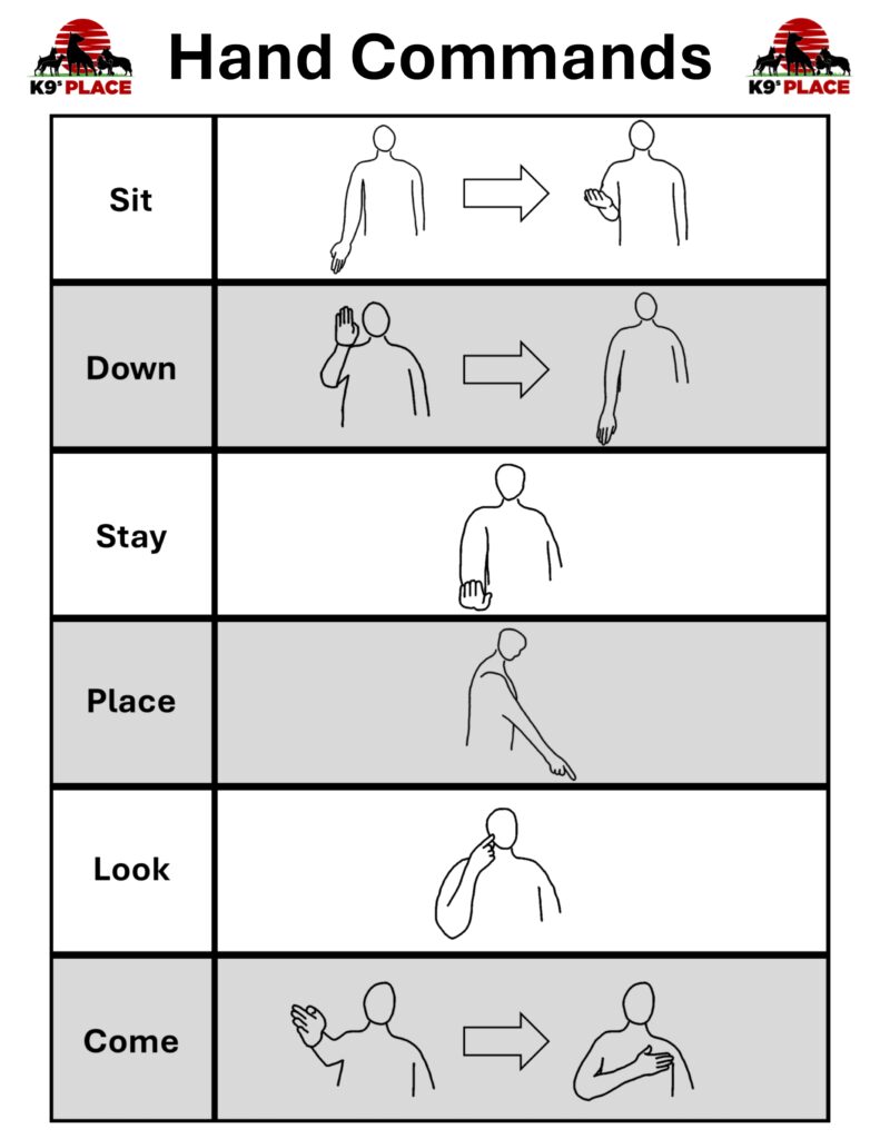 Dog Training Command Sheet that includes the hand motions that are associated with each dog training command and a drawling of how to do them.