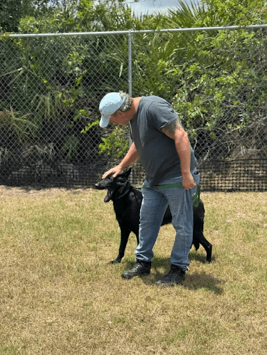 Behavior Modification Training