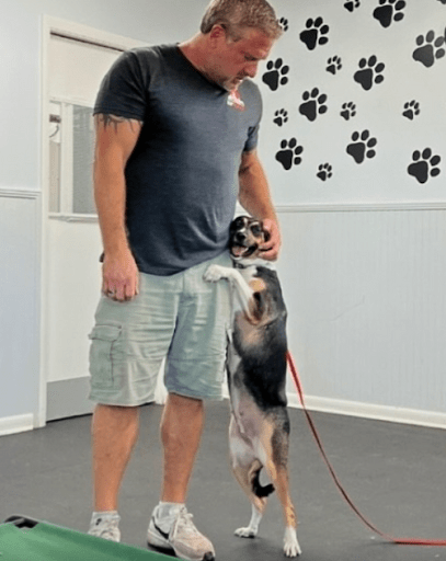 dog jumping and hugging trainer