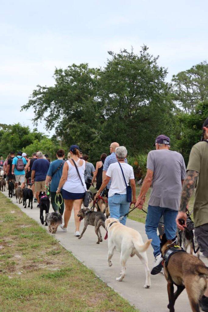 a group of people on a pack walk at k9s place in melbourne florida